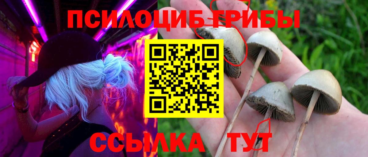 Псилоцибиновые грибы прущие грибы Ликино-Дулёво