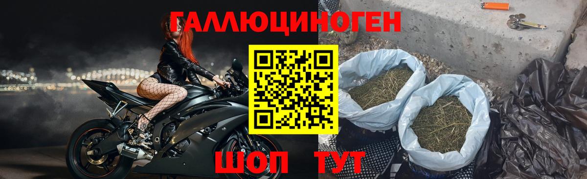 Ликино-Дулёво  Галлюциногенные грибы Psilocybe  Псилоцибиновые грибы мицелий  Вход с VPN 